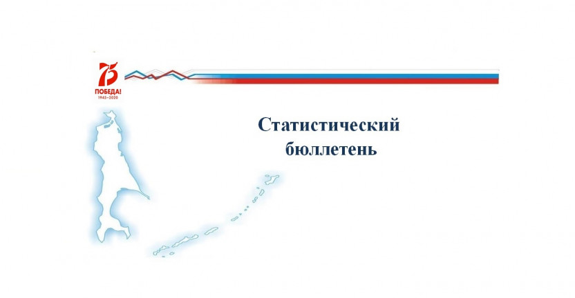 Выпущен cтатистический бюллетень «Перспективы демографического развития Сахалинской области»